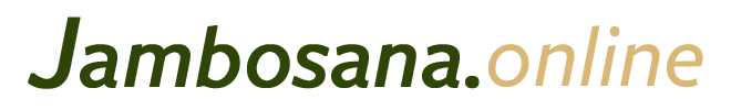Logo Jambo Sana